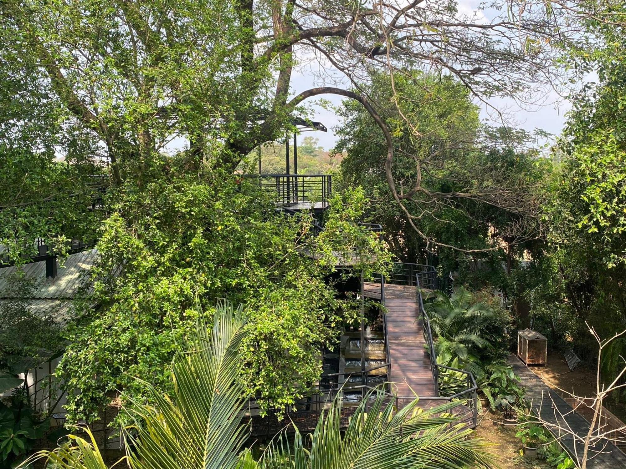 Hostelbed And Retreat פיטסנולוק מראה חיצוני תמונה