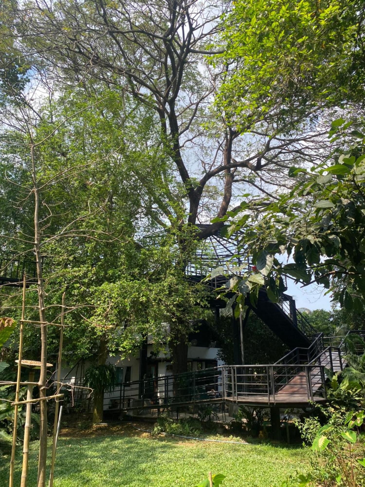 Hostelbed And Retreat פיטסנולוק מראה חיצוני תמונה